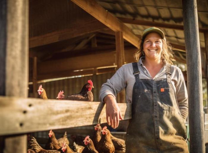 The Ultimate Guide to Farm Equipment Finance for Egg Producers with Emu Money